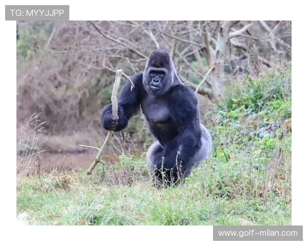 扮猩猩的足球球星是谁 他用幽默赢得球迷的心